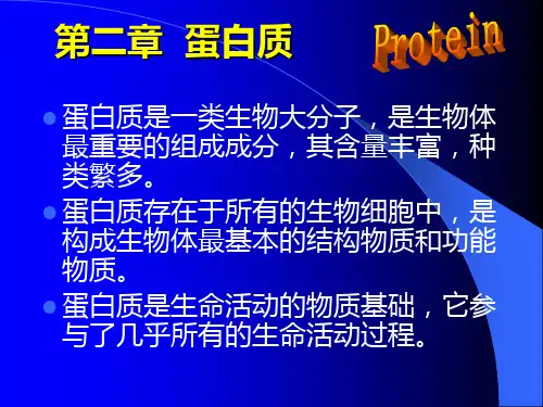 动物生物化学 第二章  蛋白质