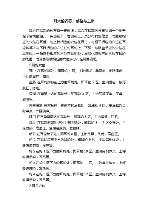 耳穴的名称、部位与主治