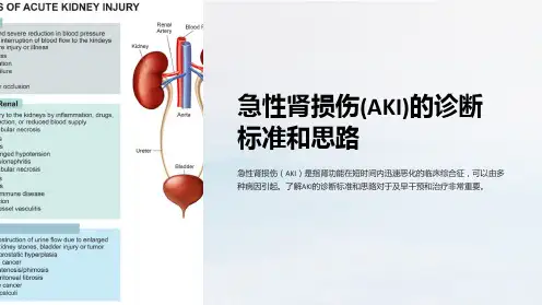 急性肾损伤(AKI)的诊断标准和思路