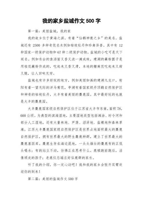 我的家乡盐城作文500字_作文