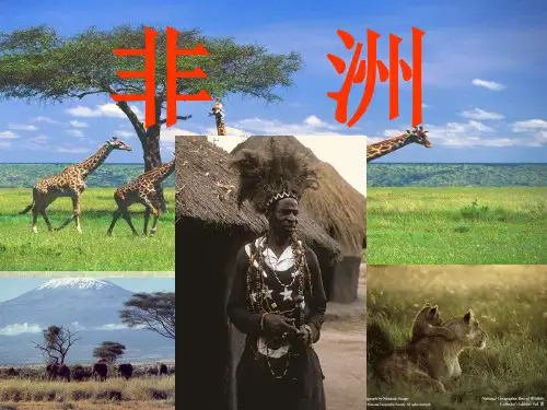 高中区域地理-非洲 - 公开课用PPT课件
