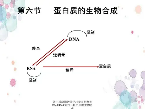 蛋白质翻译转录逆转录复制复制DNARNA第六节蛋白质的生物合成