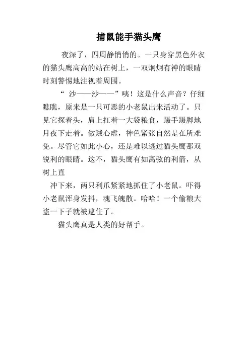 捕鼠能手猫头鹰