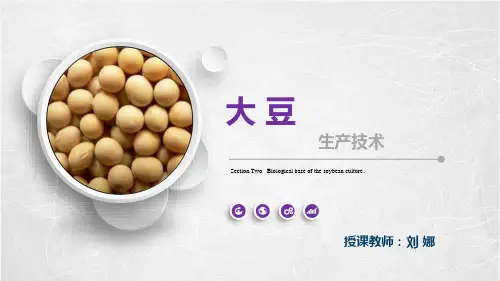 大豆 (2)