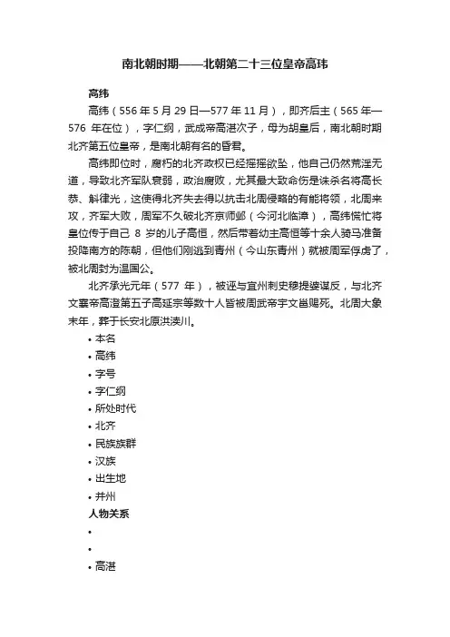 南北朝时期——北朝第二十三位皇帝高玮