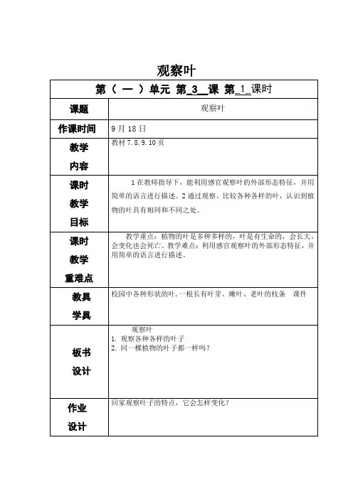 教科版一年级上册科学《观察叶》教案-最新