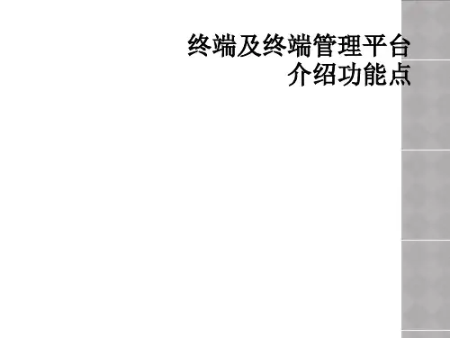 终端及终端管理平台介绍功能点