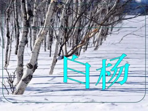 2015第三课《白杨》PPT课件