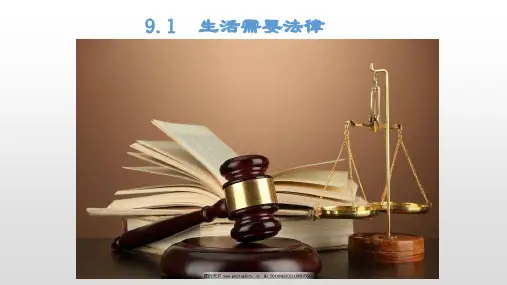 人教版《道德与法治》七年级下册 9.1 生活需要法律 课件共24张PPT