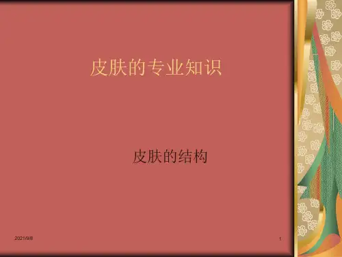 美容行业-皮肤的专业知识(33页)