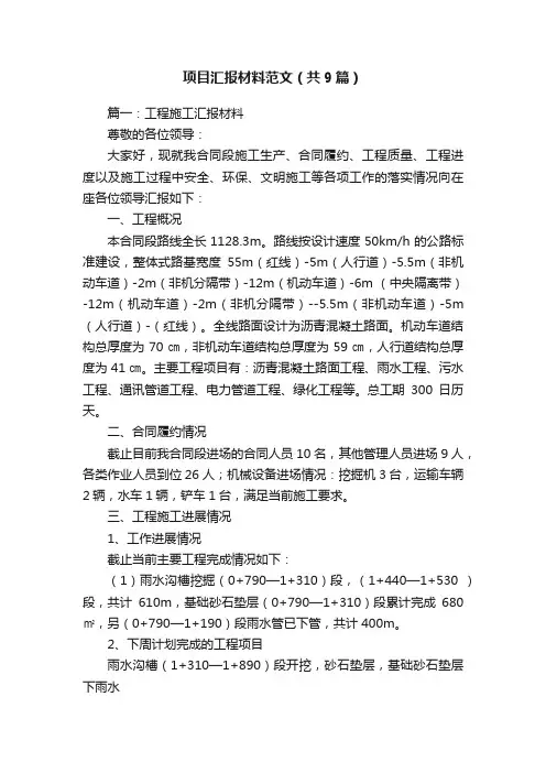 项目汇报材料范文（共9篇）