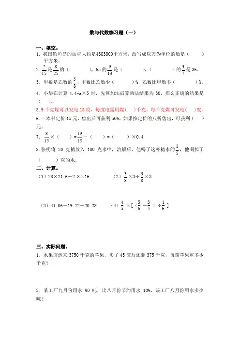 六年级下数学练习题-数与代数一-人教新课标版