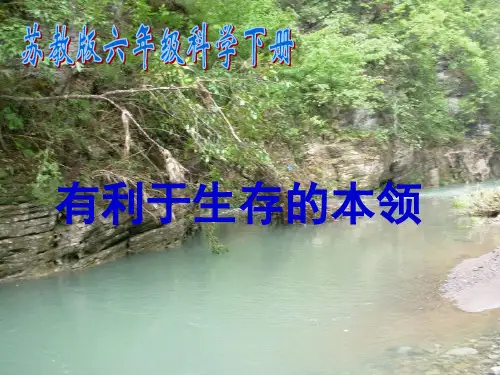 《有利于生存的本领》ppt课件