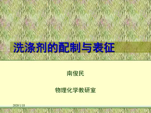 洗涤剂的配制和表征