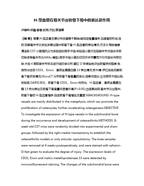 H-型血管在骨关节炎软骨下骨中的表达及作用