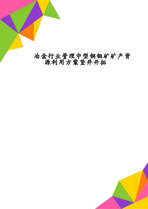 冶金行业管理中型铜钼矿矿产资源利用方案竖井开拓