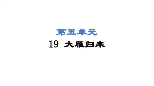 第19课 大雁归来 课件(共47张PPT) 2024-2025学年统编版语文七年级上册(2024)