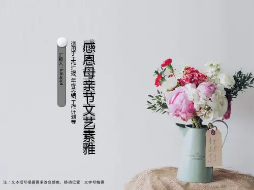 感恩母亲节PPT模板