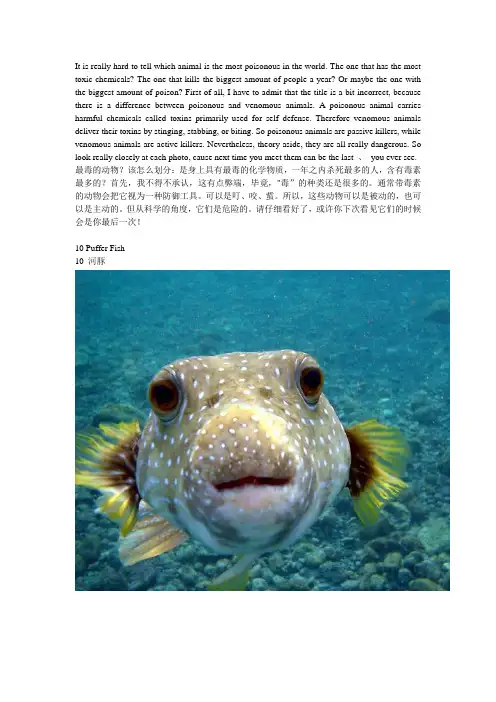 世界上最毒的10种动物《英汉对照》