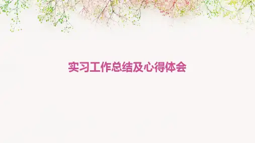 实习工作总结及心得体会PPT