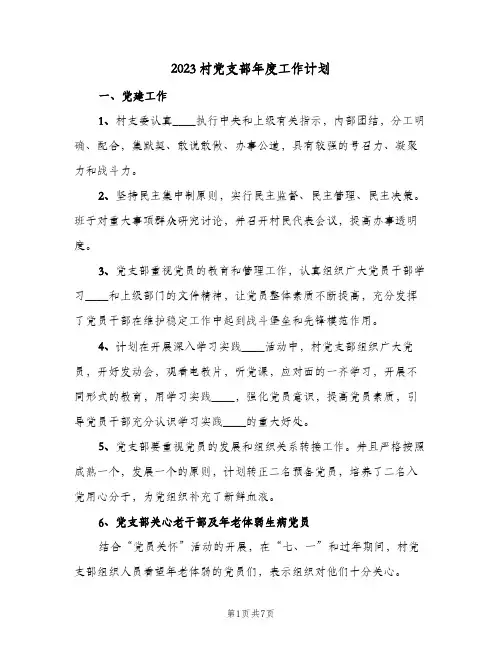 2023村党支部年度工作计划(2篇)