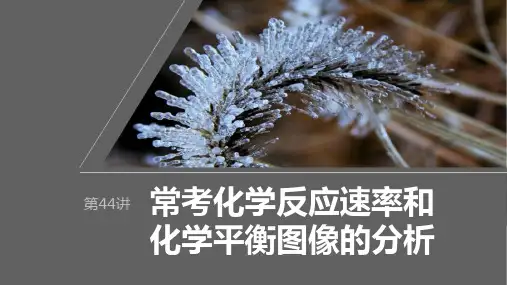 2024届高考一轮复习化学课件(新教材鲁科版宁陕)：常考化学反应速率和化学平衡图像的分析