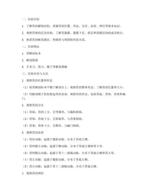 胃的解剖实验报告