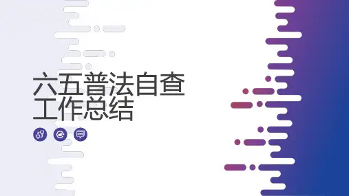 六五普法自查工作总结