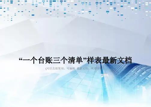 “一个台账三个清单”样表最新文档