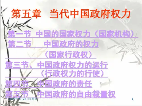 当代中国的政府权力 PPT课件