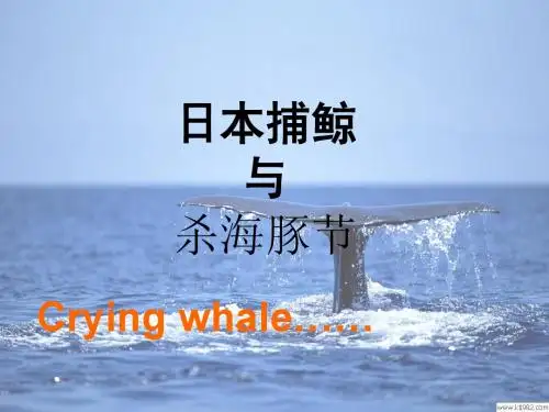 日本捕鲸与杀海豚节