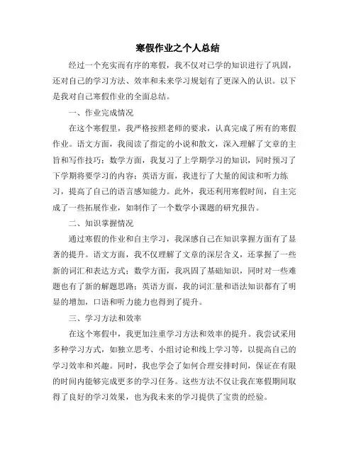 寒假作业之个人总结
