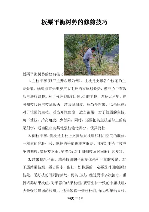 板栗平衡树势的修剪技巧