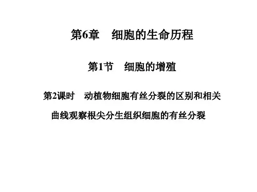 高二生物(人教版)动植物细胞有丝分裂的区别和相关曲线观察根尖分生组织细胞的有丝分裂课件