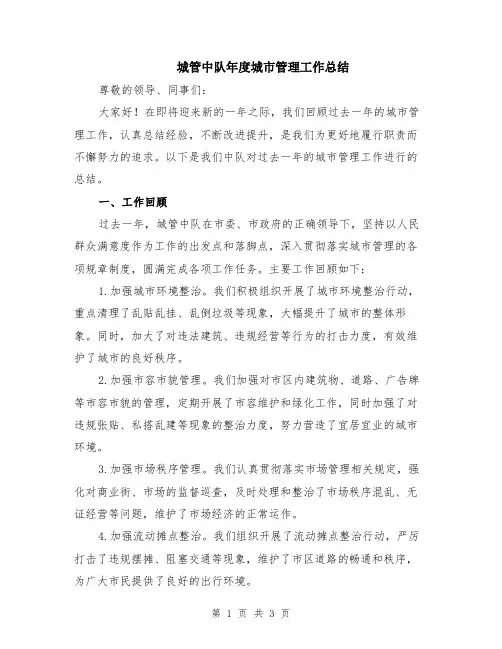 城管中队年度城市管理工作总结