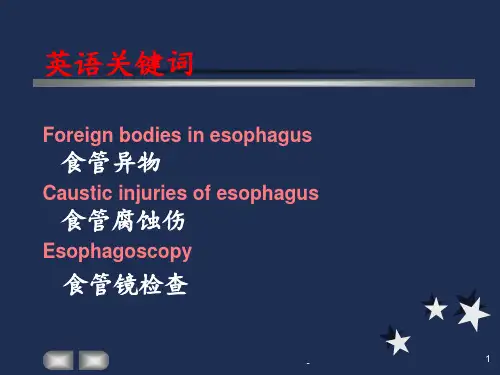耳鼻咽喉-气管食管解剖生理-气管食管异物PPT课件