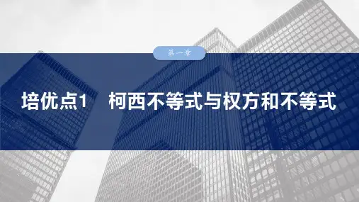 第一章 培优点1 柯西不等式与权方和不等式