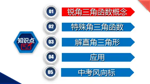 第7章 锐角三角函数 期中复习课件-2021-2022学年苏科版数学九年级下册