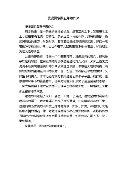 漫漫回家路五年级作文
