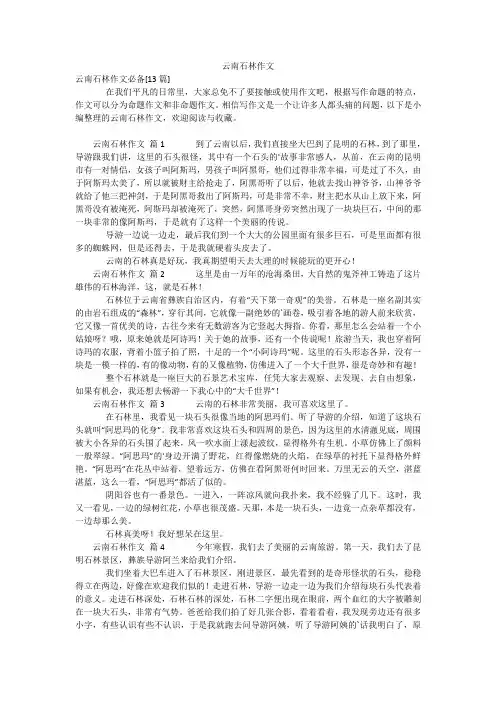云南石林作文_3