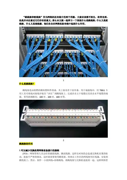 布线知识 什么是“跳线架 配线架 理线架” 在网络机柜布线中有何作用