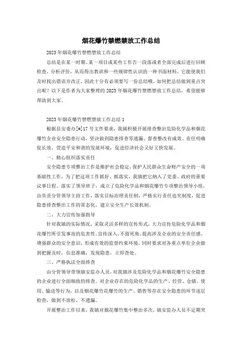 烟花爆竹禁燃禁放工作总结