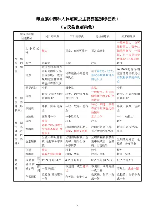 厚薄血膜中四种人体疟原虫鉴别