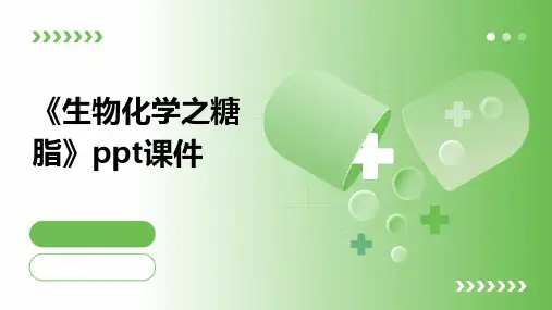 《生物化学之糖脂》课件