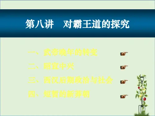 8---西汉中后期分析