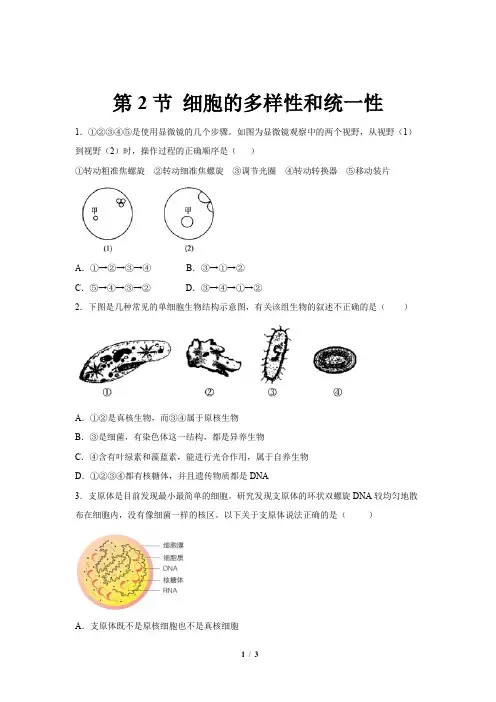 人教新课标高中生物必修一第2节 细胞的多样性和统一性 提高练习