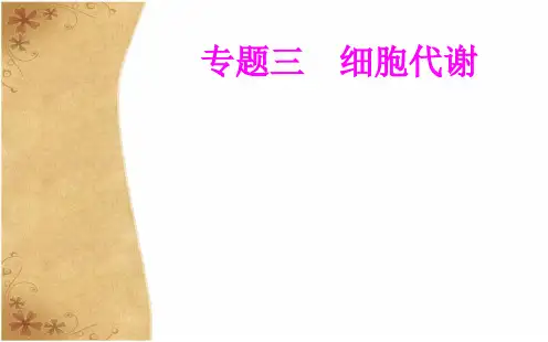 专题三考点6影响光合作用速率的环境因素