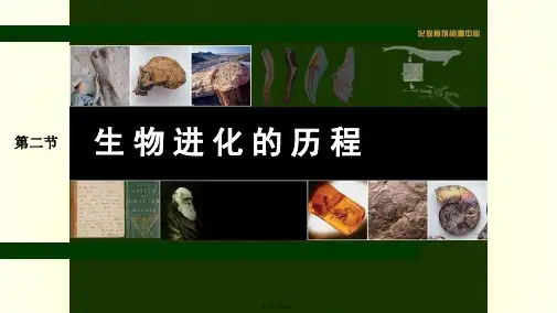 人教版八年级生物下册 7.3.2  物进化的历程(26张PPT)