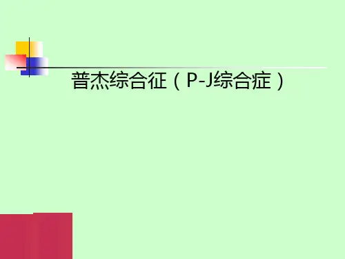 PJ综合症【25页】