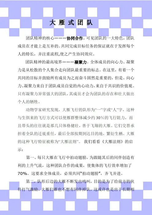 大雁团队